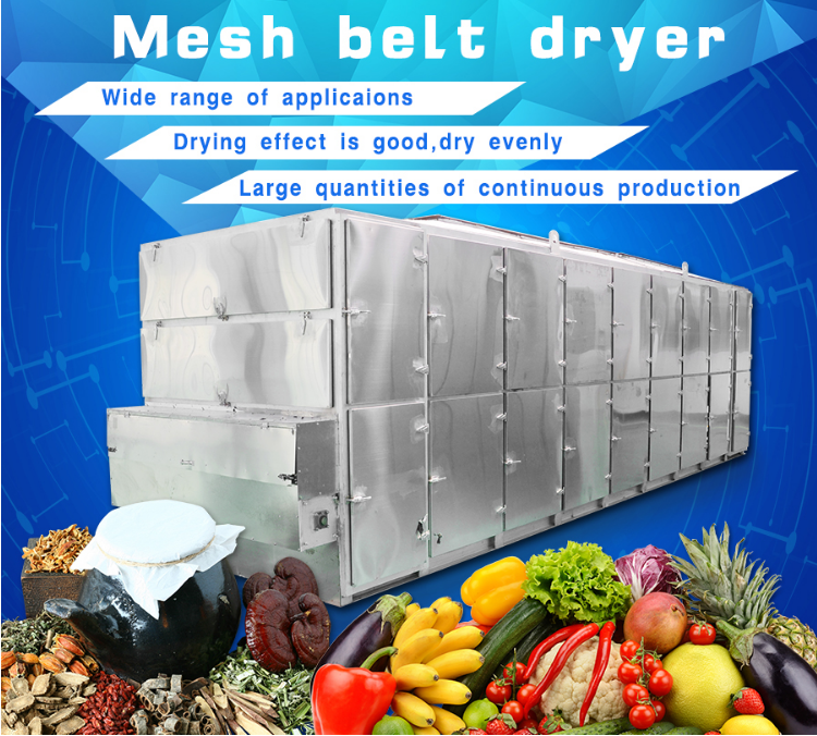 chili vegetable and leaves garlic continuous mesh-belt hot air dryer